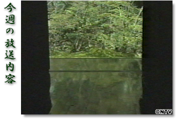 ���T�̕������e