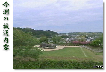 今週の放送内容