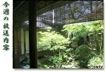 今週の放送内容