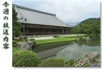 ���T�̕������e