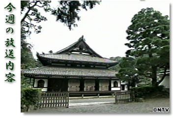 ���T�̕������e