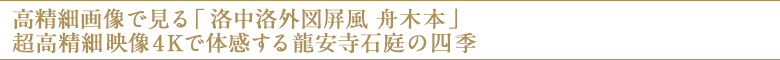 超高精細映像4Kで体感する龍安寺石庭の四季
