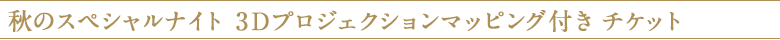 秋のスペシャルナイト 3Dプロジェクションマッピング付き チケット