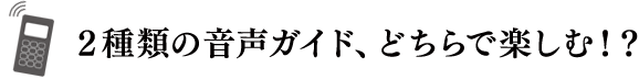 2種類の音声ガイド、どちらで楽しむ！？