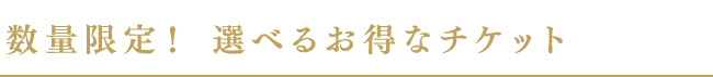 数量限定! 選べるお得なチケット