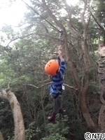 空中散歩 ターザン.jpg