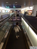 mamamocomo.JP</p>
<p>G