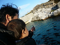 feeding the penguins.jpg