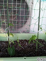 2012-05-27 17.55goya-tate.jpg