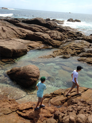 小島慶子の大黒柱ママ奮闘記
