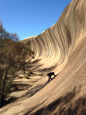 小島慶子の大黒柱ママ奮闘記