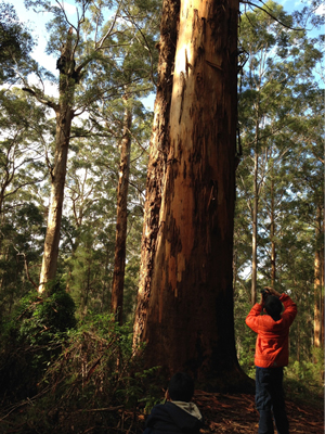 小島慶子の大黒柱ママ奮闘記