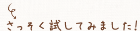 さっそく試してみました！