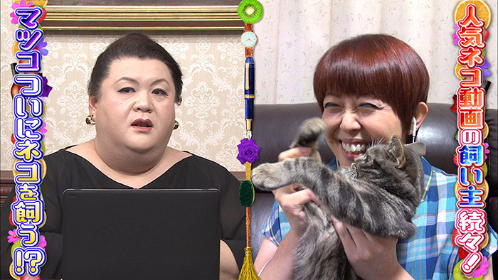 次週 7月25日（土）の「マツコ会議」は、人気ネコ動画の飼い主続々