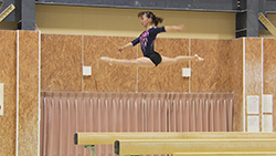 寺本明日香選手・畠田瞳選手・畠田千愛選手（体操）