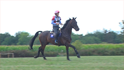 大岩義明選手・武田麗子選手（馬術）