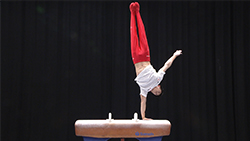 萱和磨選手・内村航平選手（体操）