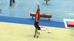 橋本大輝選手・北園丈琉選手（体操）