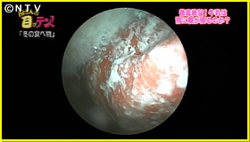 �����̖����������݂̗l�q