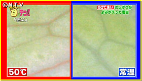 }CNXR[vŔ`tuԂ؂AȂv