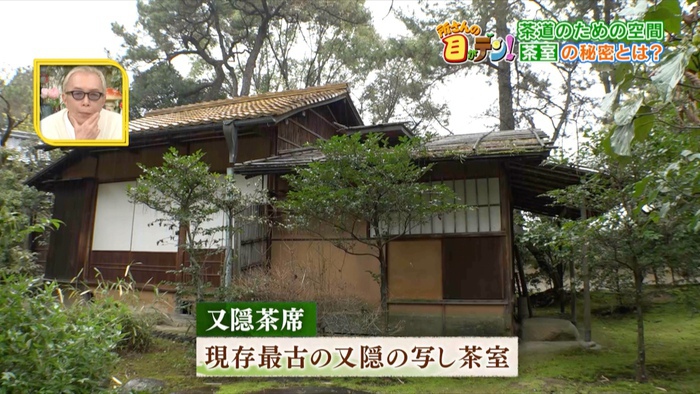 茶室には心を通わせるための様々な工夫が？初心者でも美味しくお茶を点