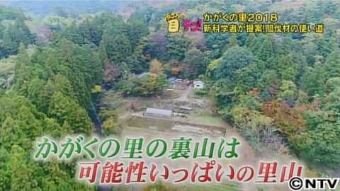 場所 の か がく 里 25日(金)から伊豆高原大室山さくらの里のさくらの里夜桜観賞会は開催予定
