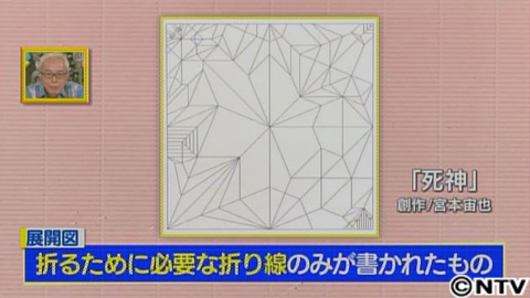 放送内容 所さんの目がテン 日本テレビ