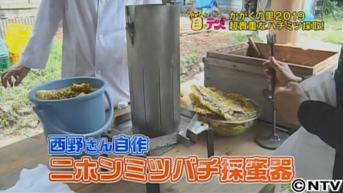 放送内容|所さんの目がテン!|日本テレビ