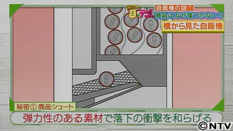 放送内容 所さんの目がテン 日本テレビ