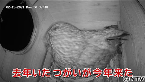 放送内容|所さんの目がテン!|日本テレビ