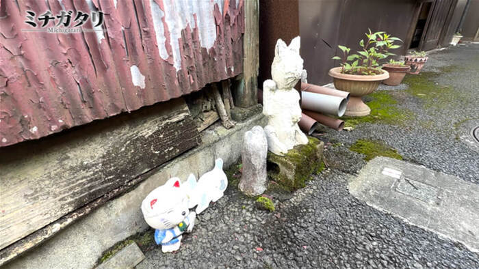にゃんとも不思議な道「雪守横丁」｜ミチガタリ｜日本テレビ