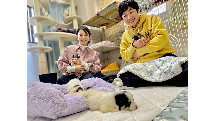 有働由美子・石田ゆり子が本気でお手伝い！生まれて3週間の子犬の