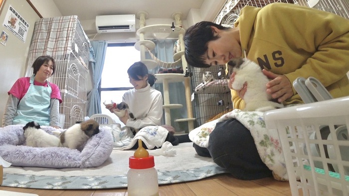 有働由美子・石田ゆり子が本気でお手伝い！生まれて3週間の子犬の
