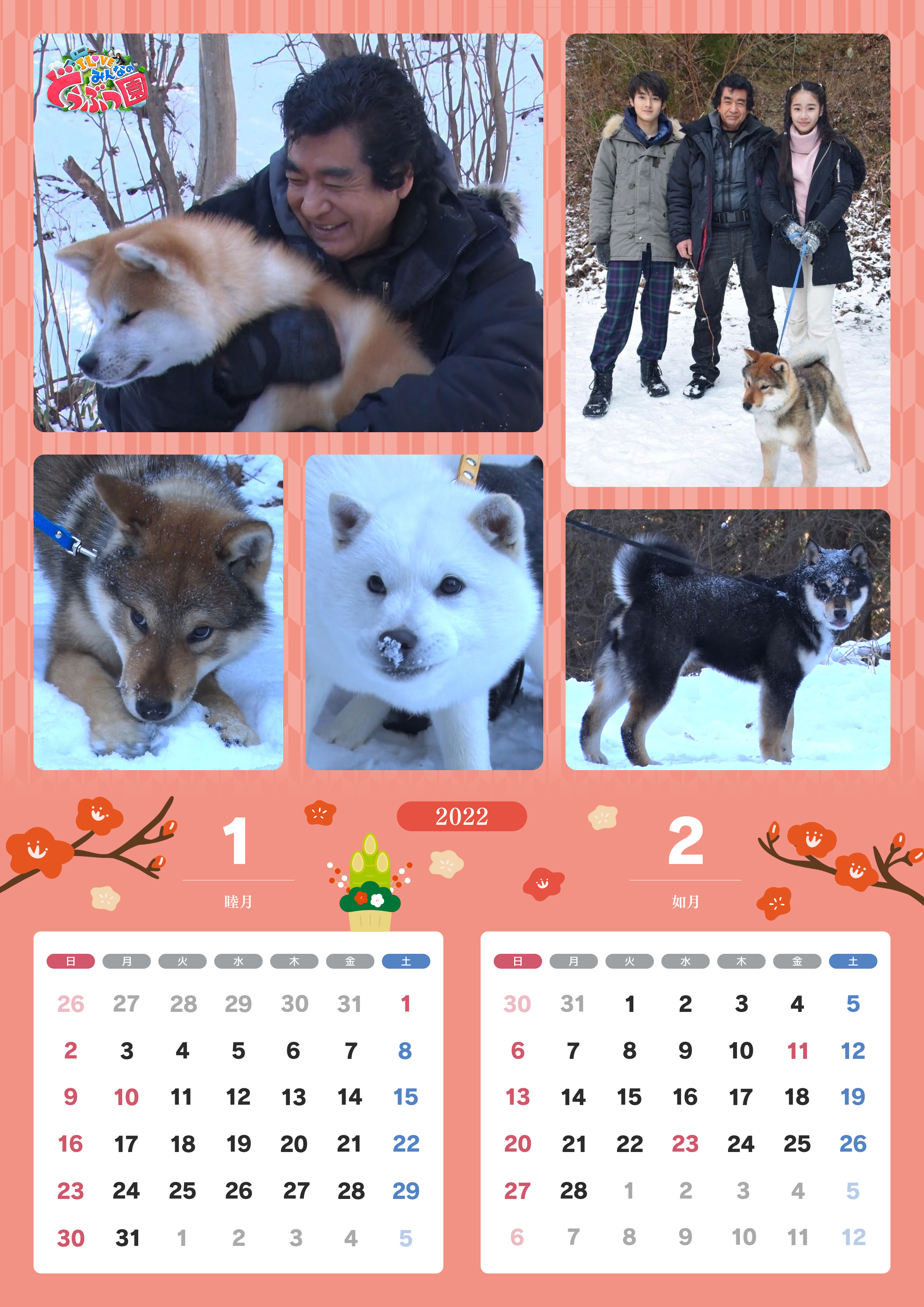 藤岡弘 さんご一家の 天然記念物 日本犬を育てる 22年カレンダーが完成 嗚呼 みんなの動物園 日本テレビ