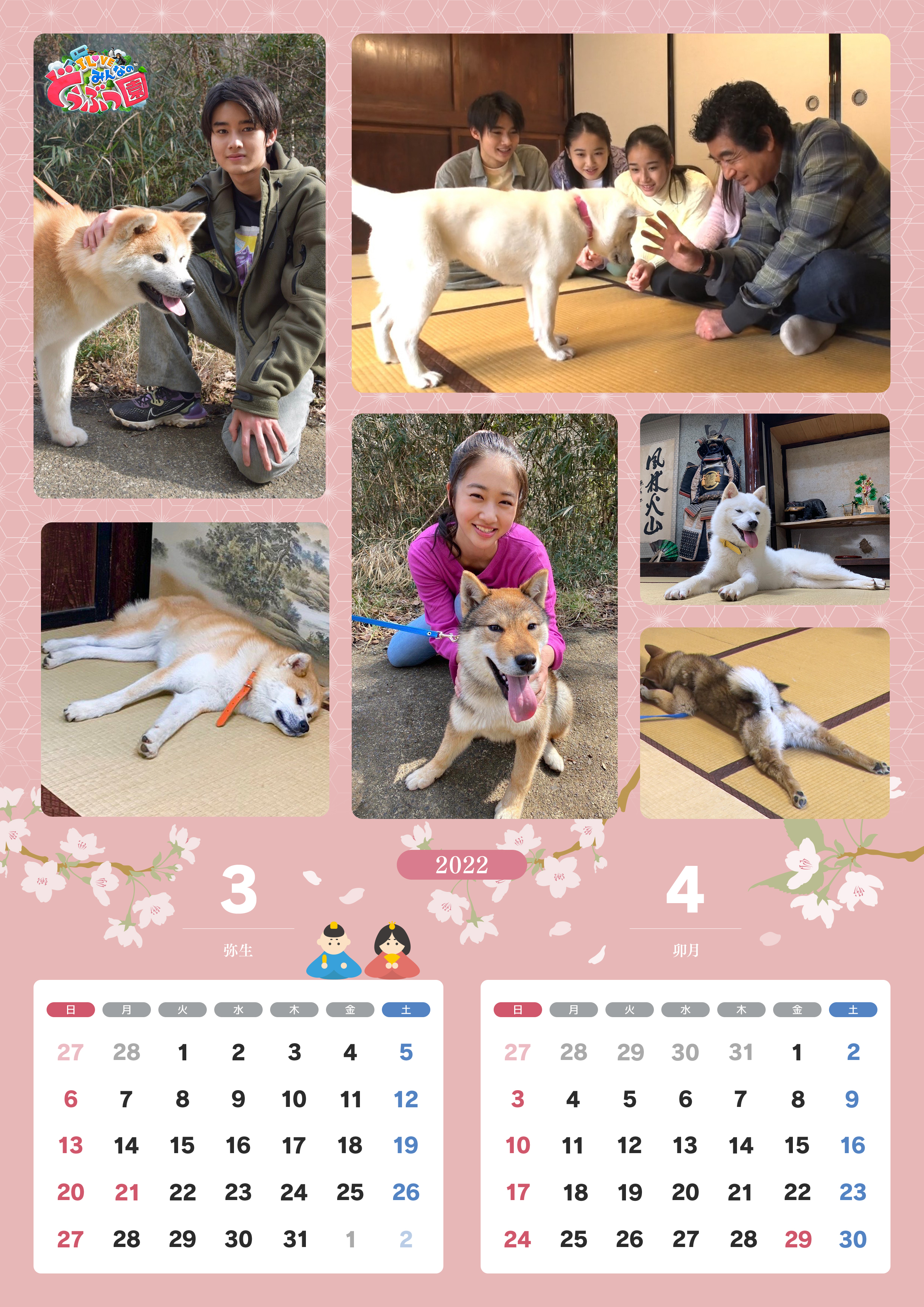藤岡弘 さんご一家の 天然記念物 日本犬を育てる 22年カレンダーが完成 嗚呼 みんなの動物園 日本テレビ