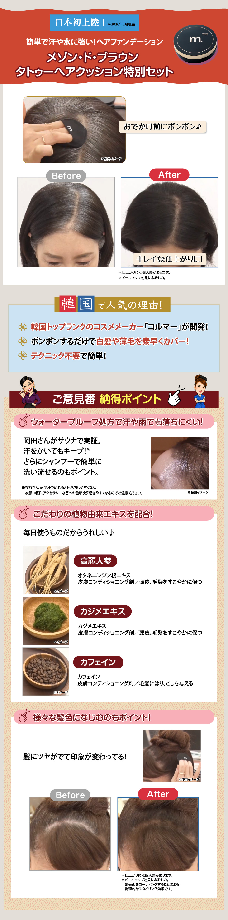 メゾン・ド・ブラウン　タトゥーヘアクッション特別セット