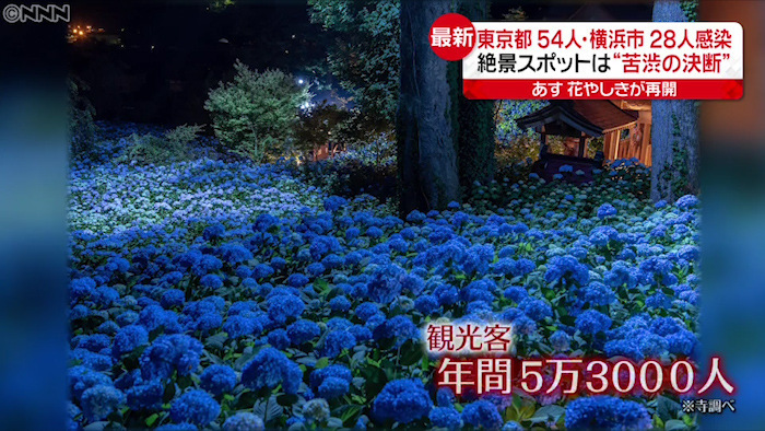 ディズニー待ちきれず再開前に来たファンも 新型コロナウイルスと私たちの暮らし 日テレ特設サイト 日本テレビ