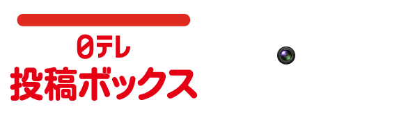 日テレ投稿ボックス everyone