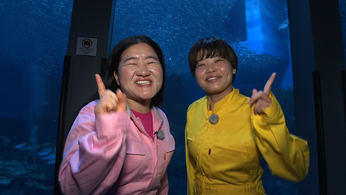 ガンバレルーヤのイルカショー In 神奈川県 世界の果てまでイッテq 日本テレビ