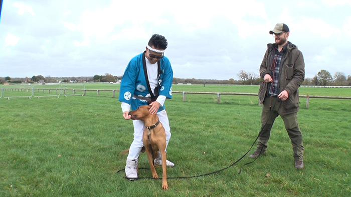 イッテQでも紹介！犬のアレブリヘ（送料込み！） fit=scale-down,w=1200