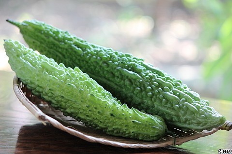 IMG_6038 (800x533).jpg