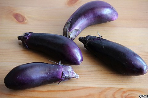 IMG_5666 (1280x853).jpg