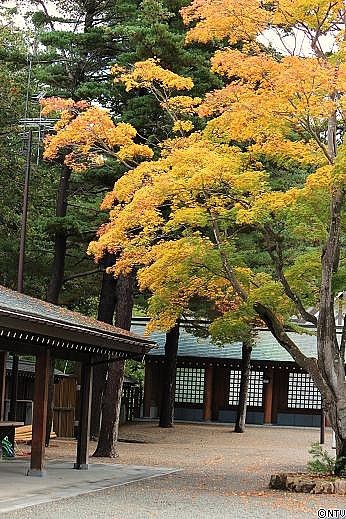 hokkaidojingu.jpg