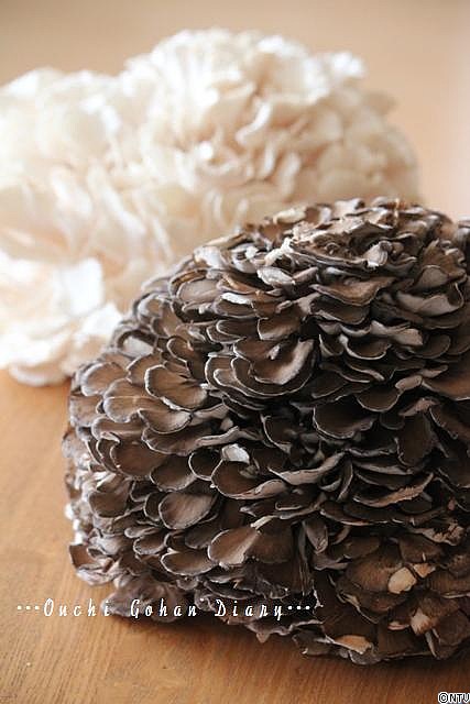 maitake.jpg