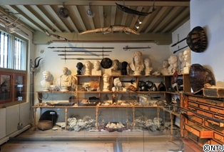 様々な蒐集物が