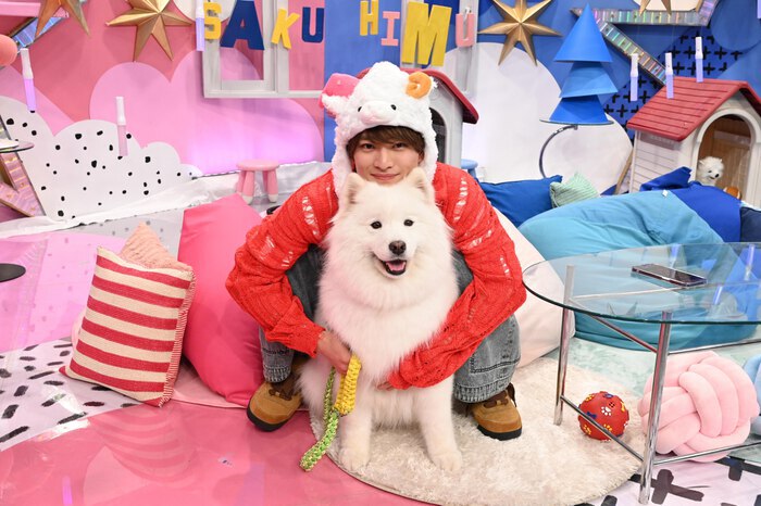 佐久間大介も一瞬でトリコに!? “天使の犬”サモエドの魅力を深掘り