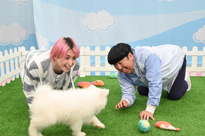 佐久間大介も一瞬でトリコに!? “天使の犬”サモエドの魅力を深掘り 佐久間大介も一瞬でトリコに!? “天使の犬”サモエドの魅力を深掘り