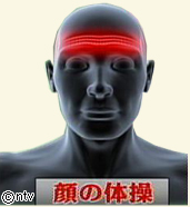 世界一受けたい授業 世界一受けたい授業