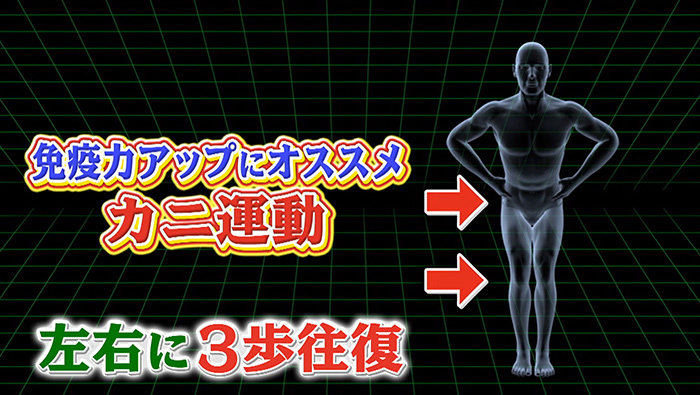 ゾンビ細胞は免疫力を高めて殺せ 免疫力がアップする7つの習慣 世界一受けたい授業 日本テレビ