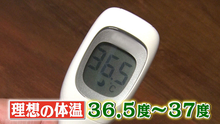 ターゲット 食器棚 雪だるまを作る 体温計 37 度 Houmon Shika Org